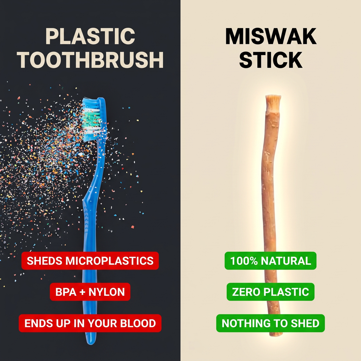Miswak™ — The Original Natural Toothbrush