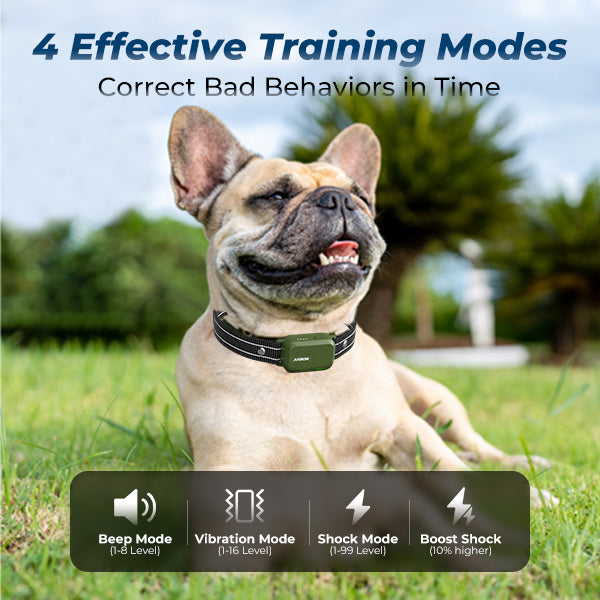 Moon DT-61 Remote Training Collar – 4200FT Range