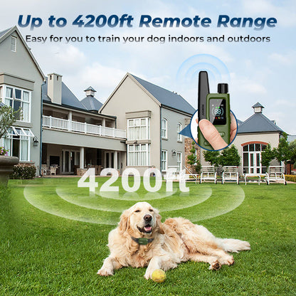 Moon DT-61 Remote Training Collar – 4200FT Range