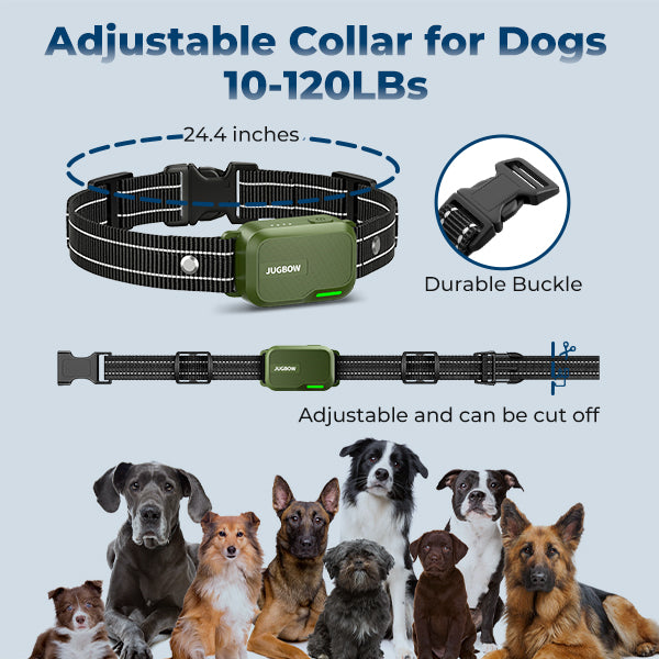 Moon DT-61 Remote Training Collar – 4200FT Range