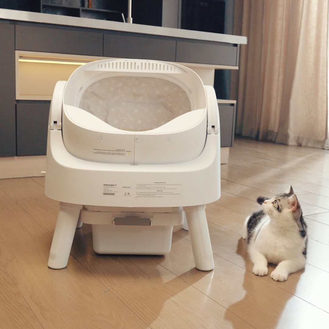 Autoscooper 11 Open-top Self-cleaning Smart Cat Litter Box