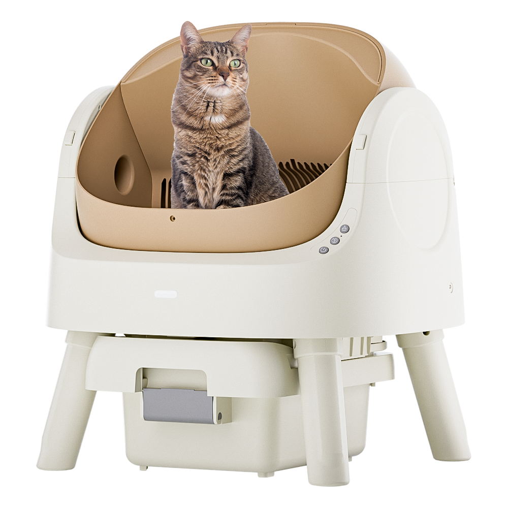 Autoscooper 11 Open-top Self-cleaning Smart Cat Litter Box