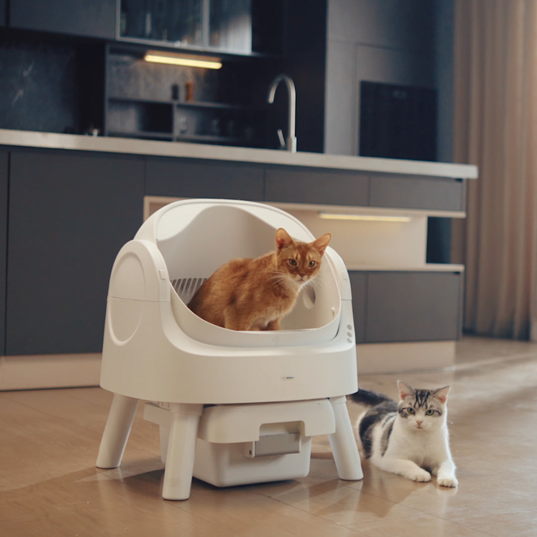 Autoscooper 11 Open-top Self-cleaning Smart Cat Litter Box