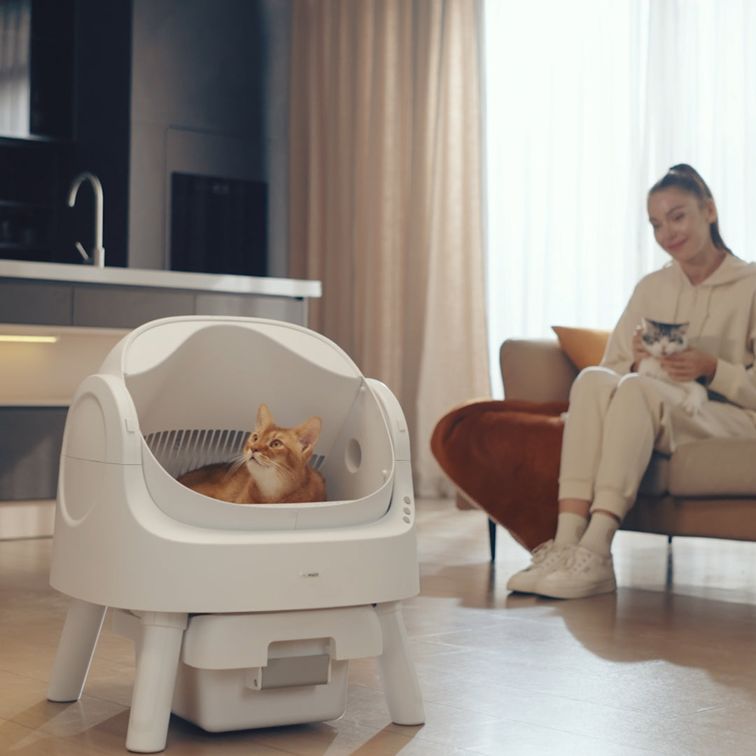 Autoscooper 11 Open-top Self-cleaning Smart Cat Litter Box