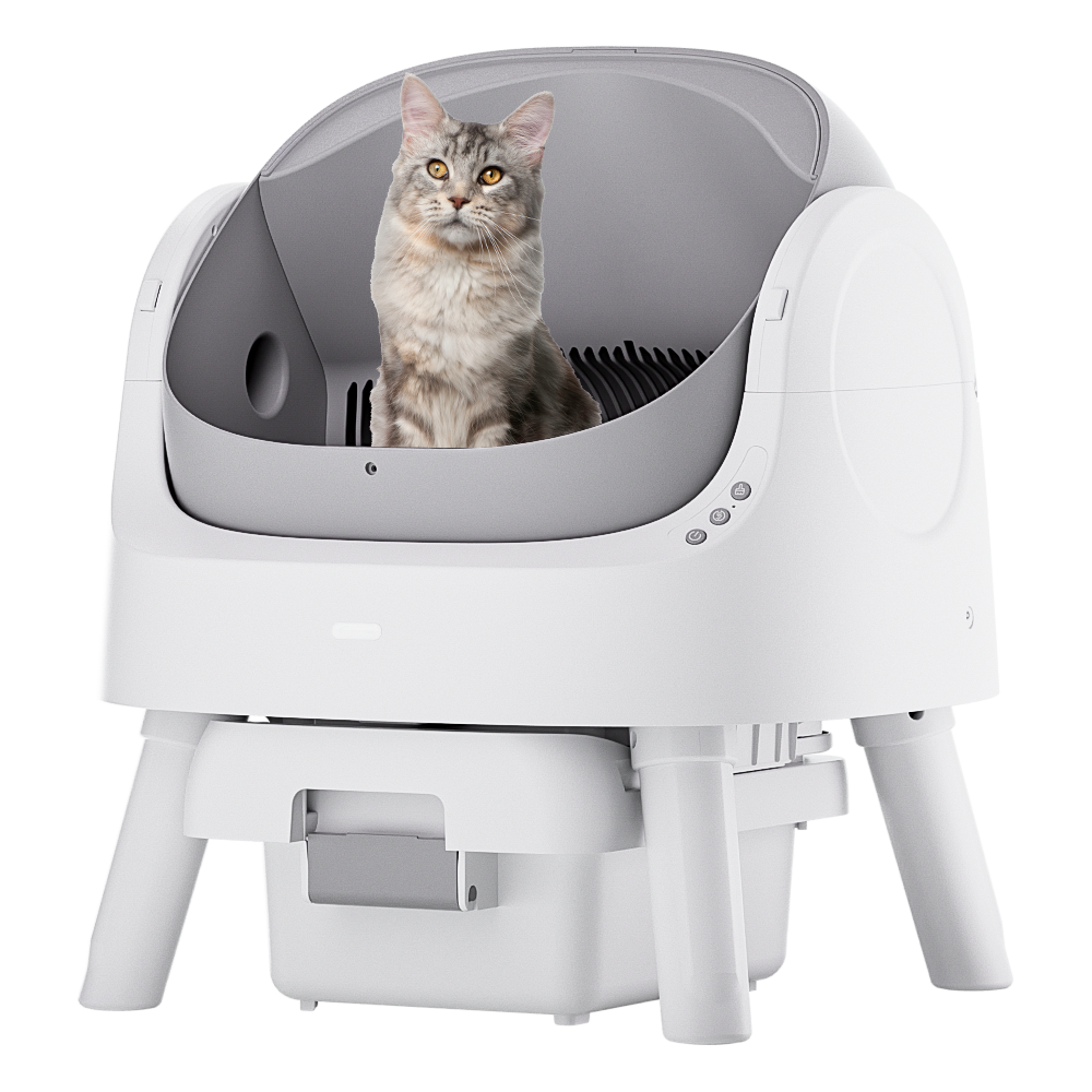 Autoscooper 11 Open-top Self-cleaning Smart Cat Litter Box