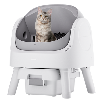 Autoscooper 11 Open-top Self-cleaning Smart Cat Litter Box