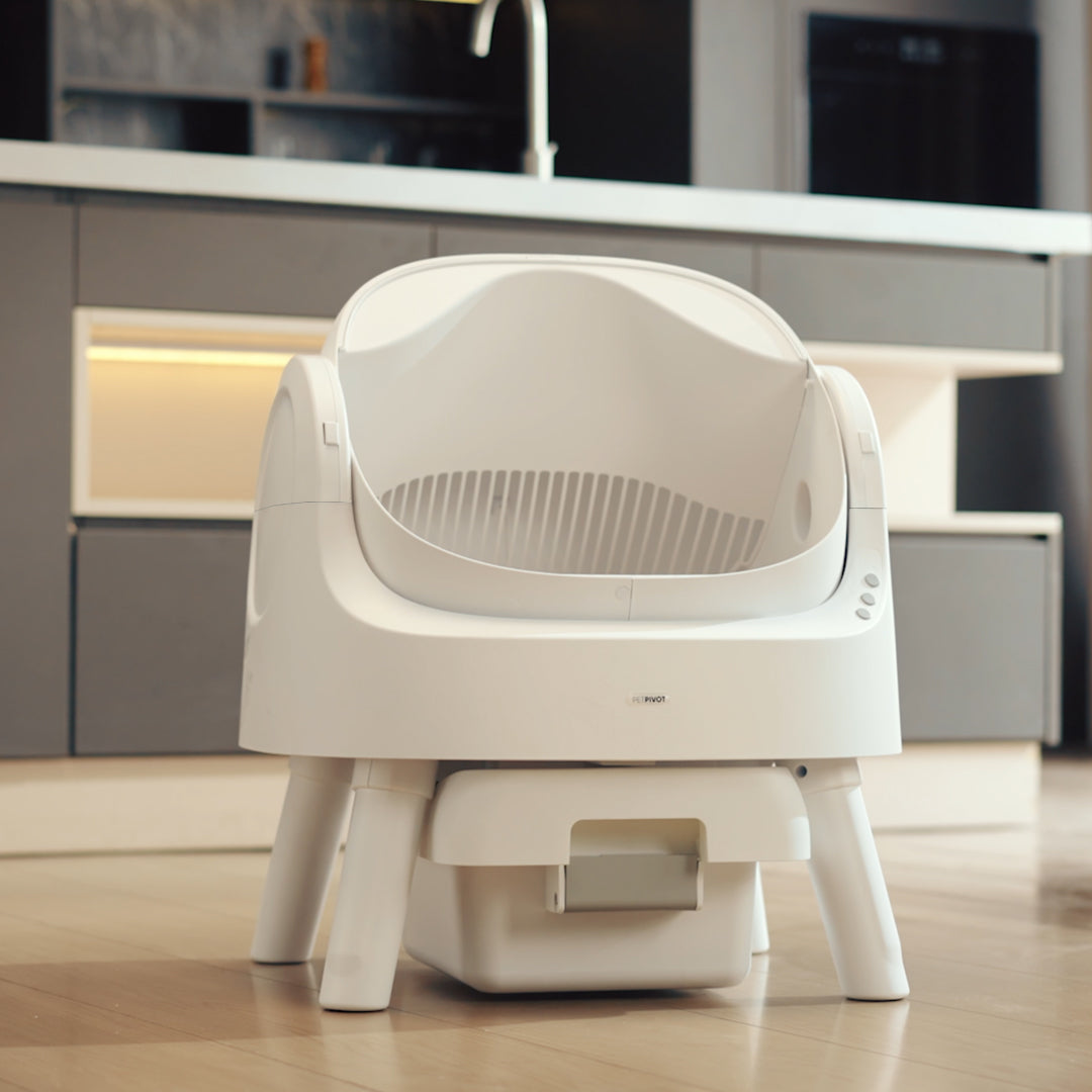 Autoscooper 11 Open-top Self-cleaning Smart Cat Litter Box