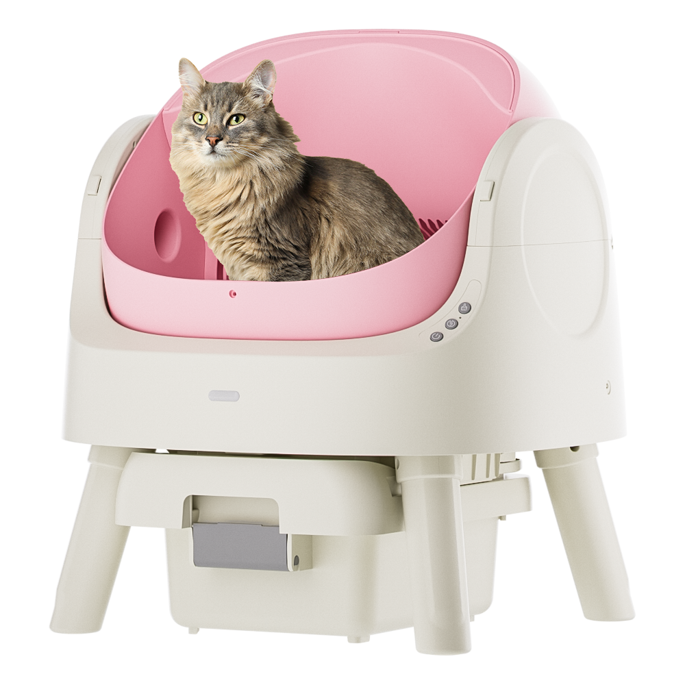 Autoscooper 11 Open-top Self-cleaning Smart Cat Litter Box