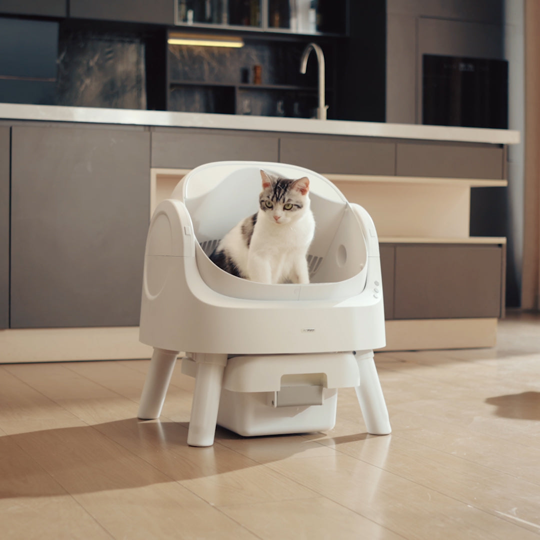 Autoscooper 11 Open-top Self-cleaning Smart Cat Litter Box