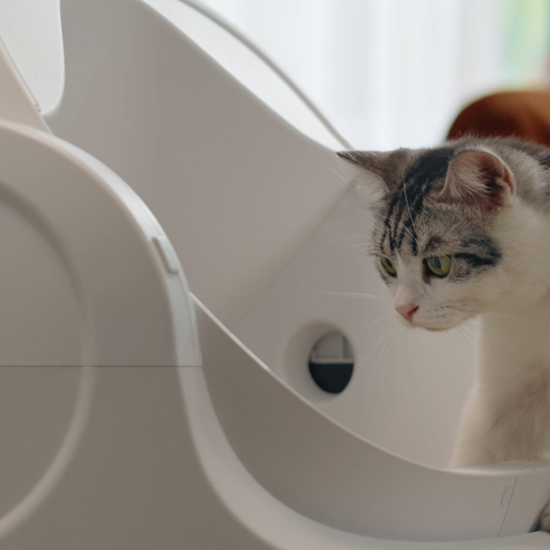 Autoscooper 11 Open-top Self-cleaning Smart Cat Litter Box