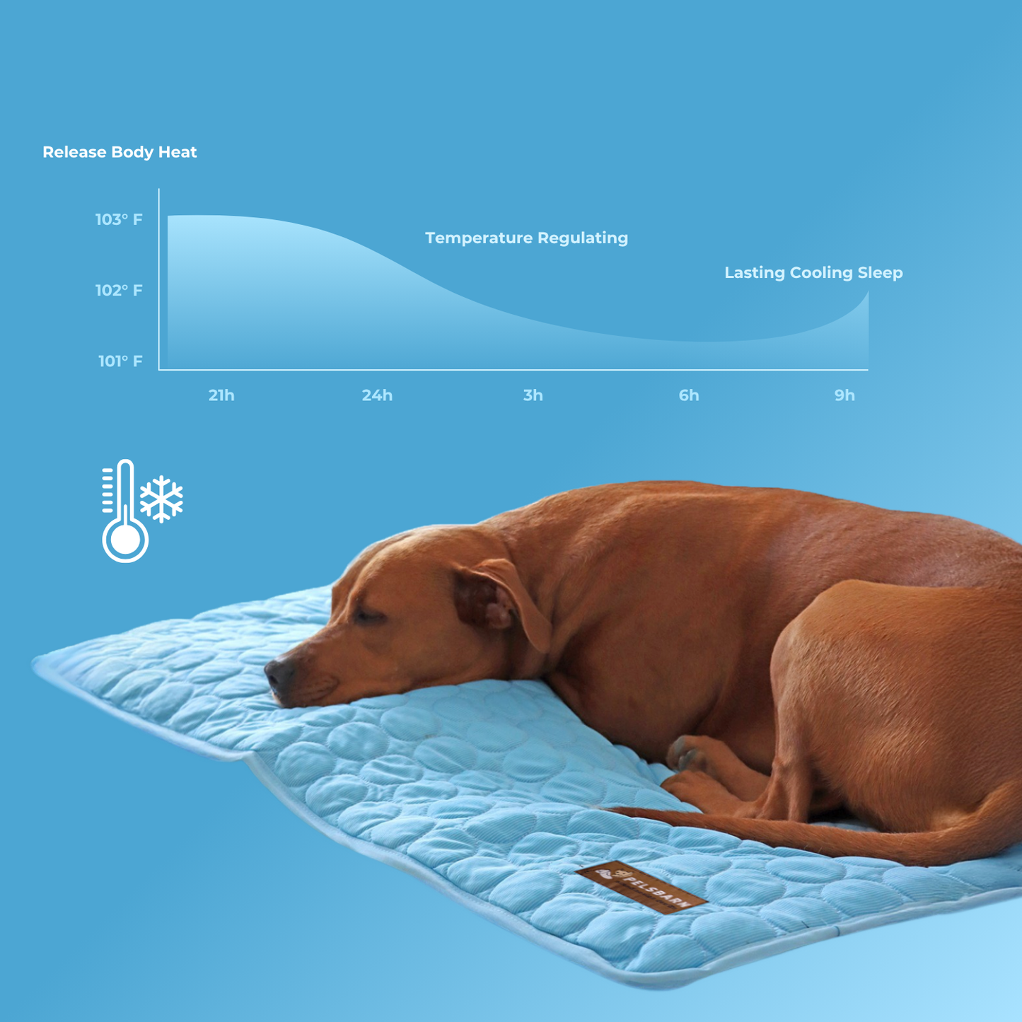 Moon™ Cooling Mat for Dogs