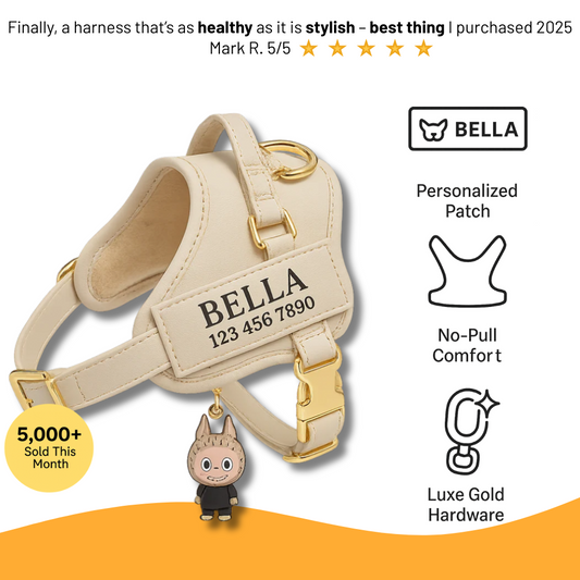 Luxury Pet Harness “Bella”