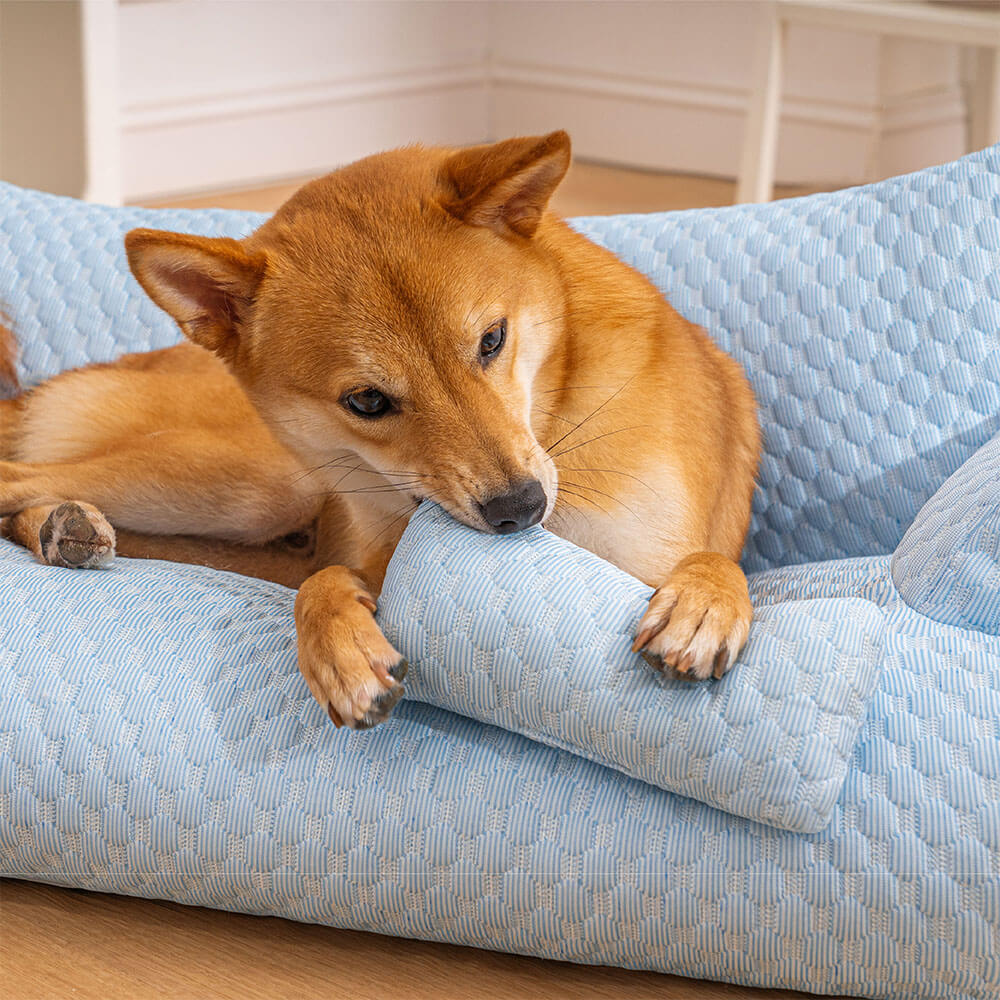 Moon - Cooling Dog Sofa Bed