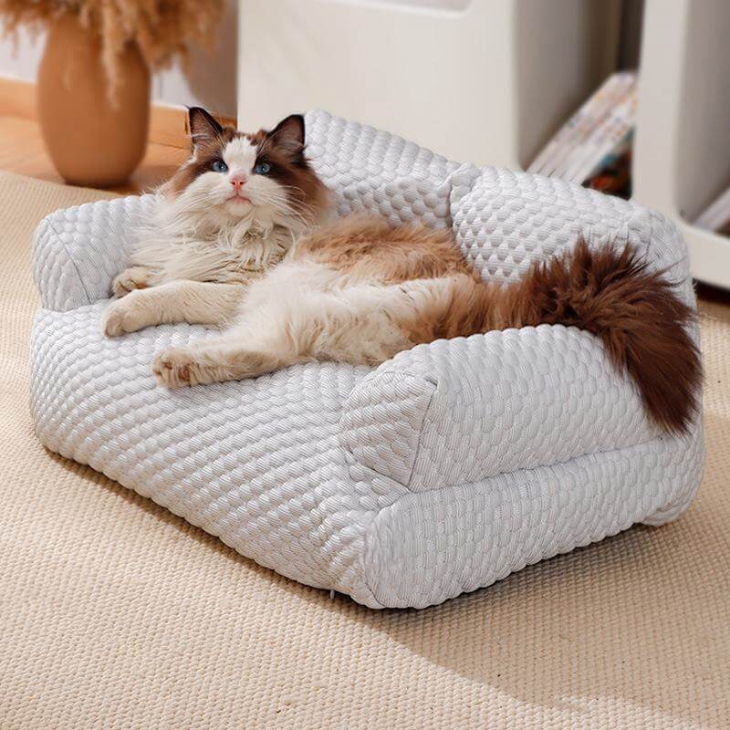 Moon - Cooling Dog Sofa Bed