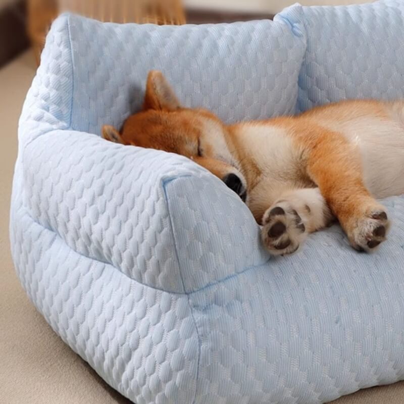 Moon - Cooling Dog Sofa Bed