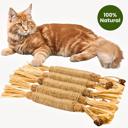 MoonWhite Natural Silvervine Dental Sticks