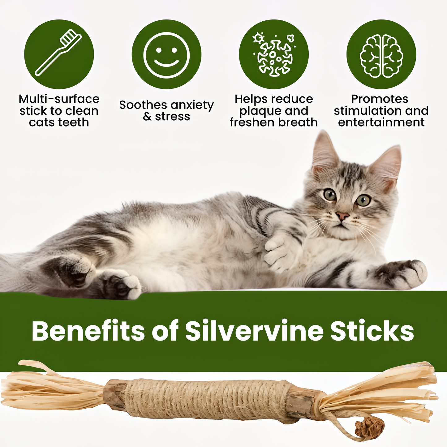 MoonWhite Natural Silvervine Dental Sticks