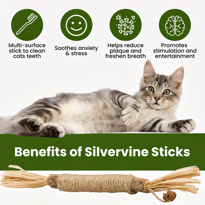 MoonWhite Natural Silvervine Dental Sticks