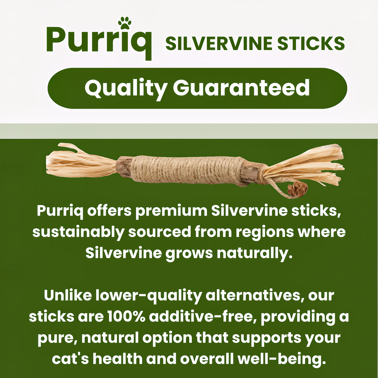 MoonWhite Natural Silvervine Dental Sticks