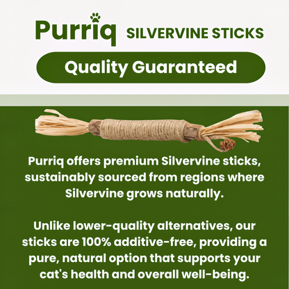 MoonWhite Natural Silvervine Dental Sticks