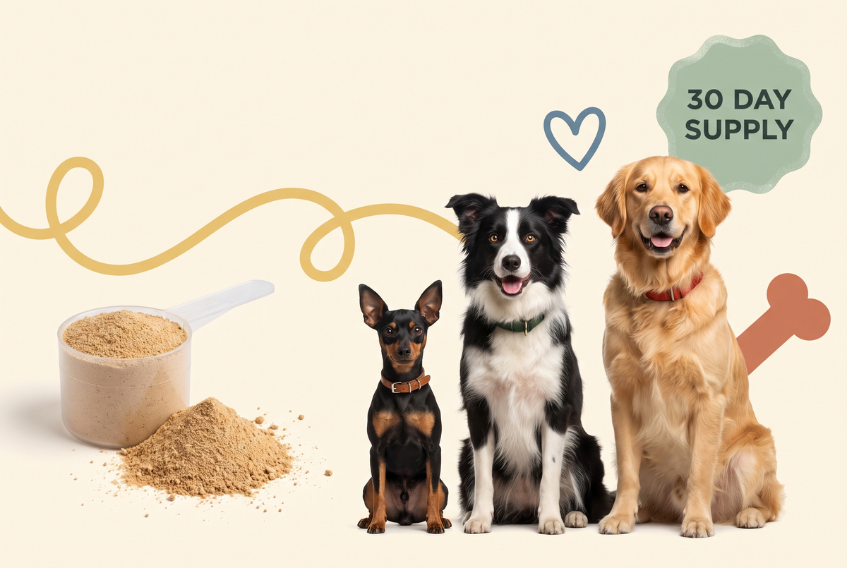 Scoop & Smile™ — Daily Dental Powder for Dogs