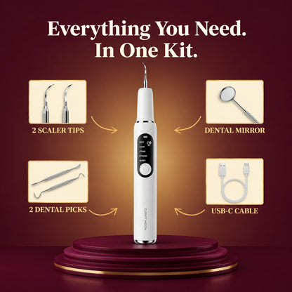 Everything in the kit: tips, mirror, picks and USB-C cable